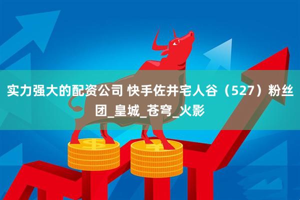 实力强大的配资公司 快手佐井宅人谷（527）粉丝团_皇城_苍穹_火影
